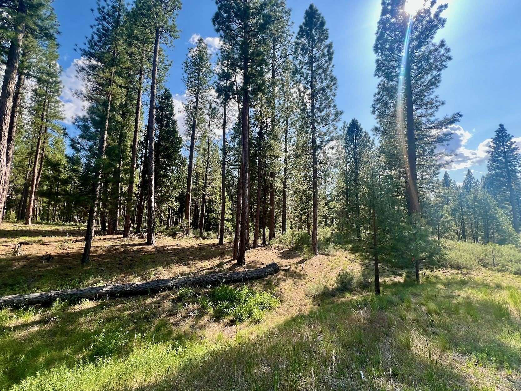 0.68 Acres of Residential Land for Sale in Clio, California
