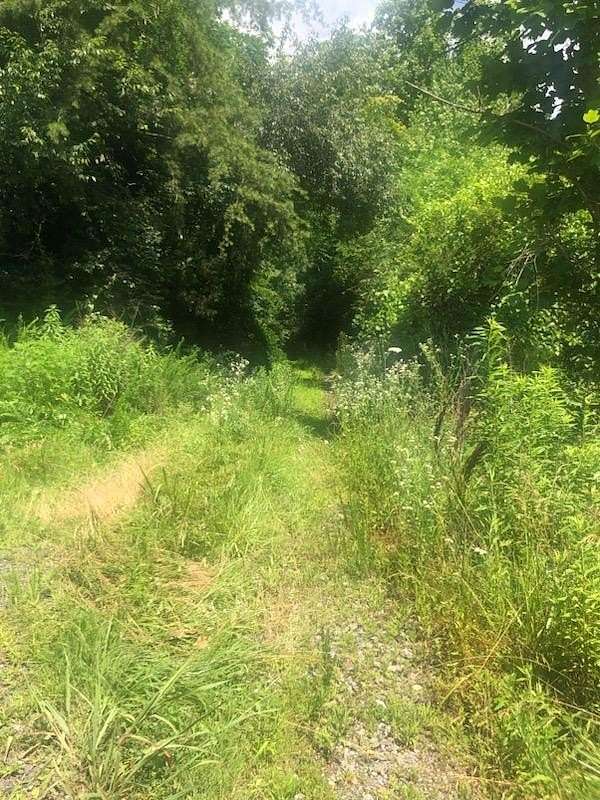 16.7 Acres of Recreational Land for Sale in Decatur, Tennessee