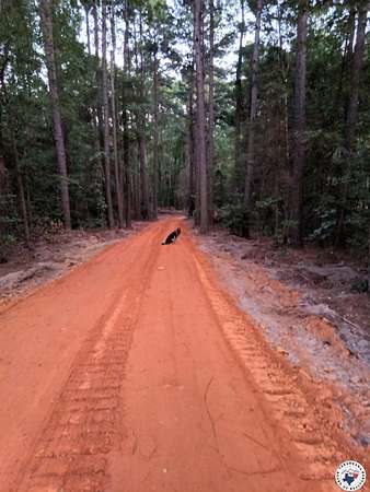 11.4 Acres of Land with Home for Sale in Linden, Texas