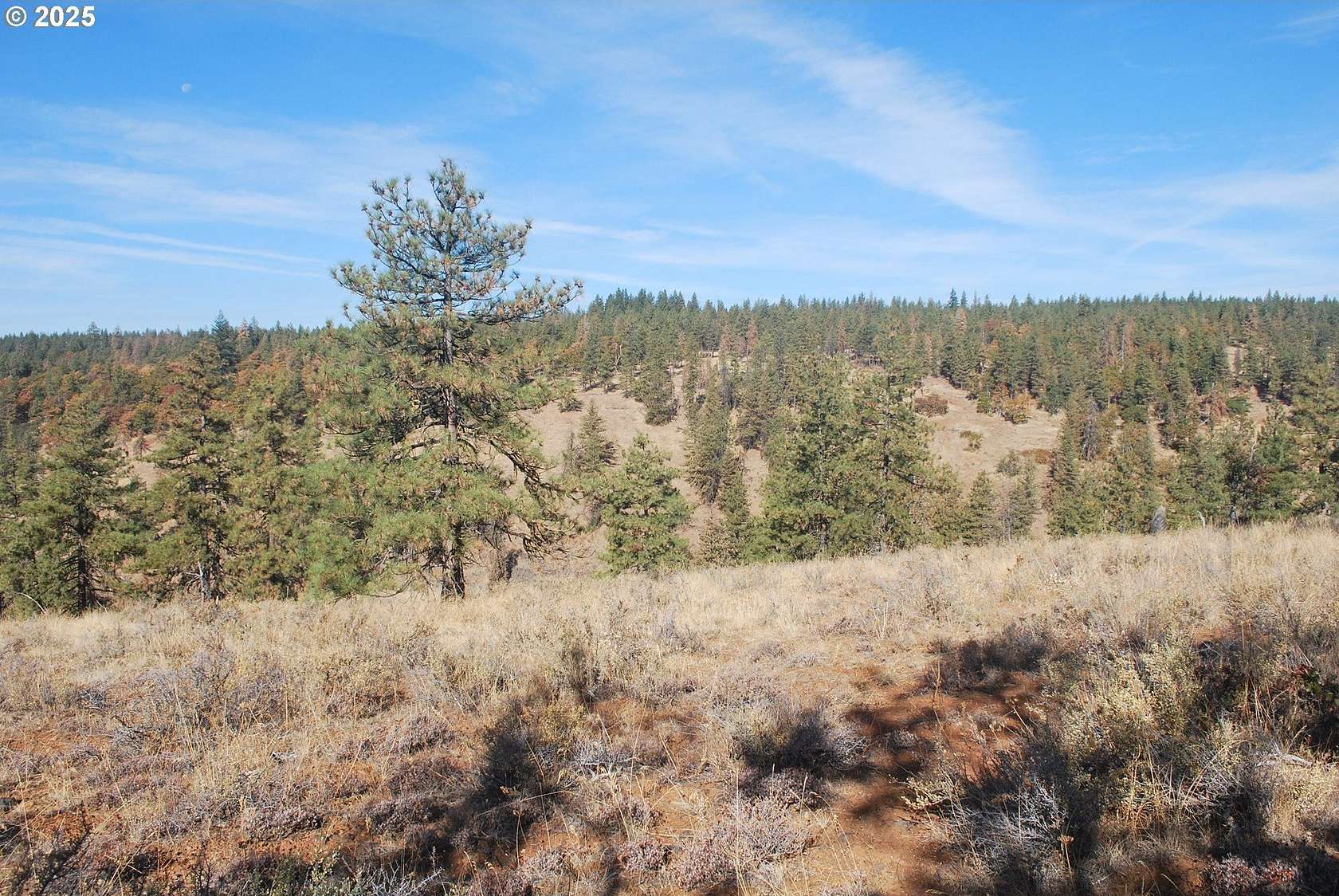 42.2 Acres of Land for Sale in Goldendale, Washington