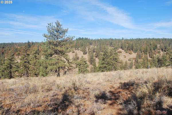 42.2 Acres of Land for Sale in Goldendale, Washington