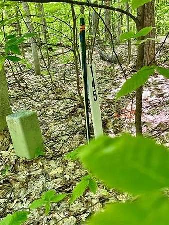 1.68 Acres of Land for Sale in Custer Township, Michigan