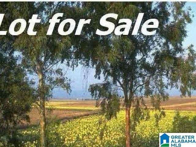 1 Acre of Residential Land for Sale in Adamsville, Alabama