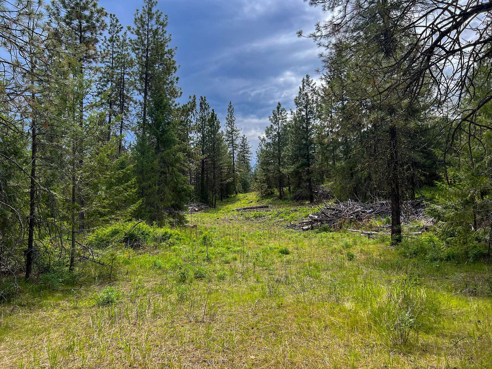 20 Acres of Land for Sale in Rice, Washington