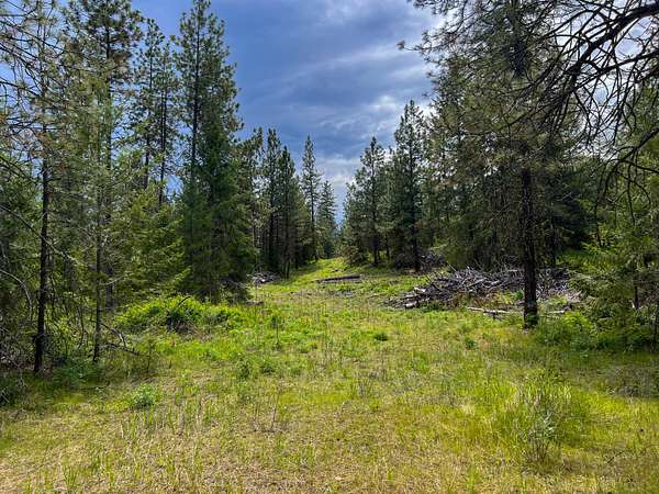 20 Acres of Land for Sale in Rice, Washington