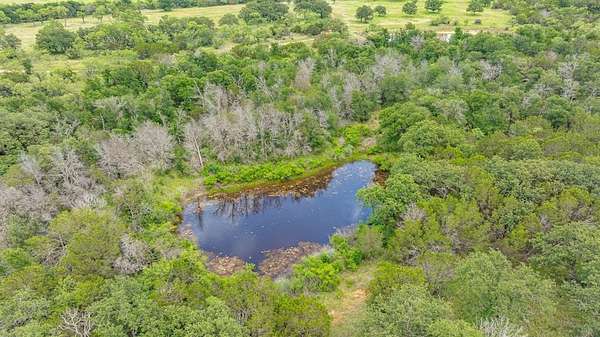 45.8 Acres of Recreational Land for Sale in Mingus, Texas