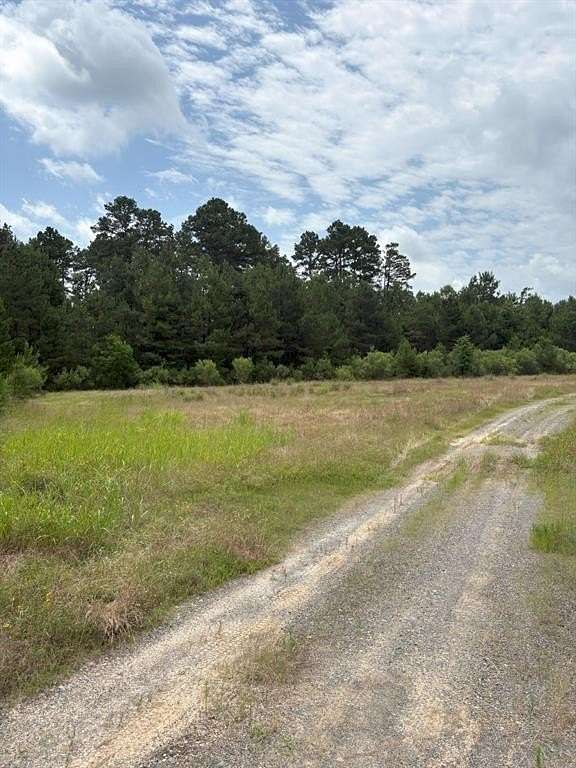 32.3 Acres of Recreational Land for Sale in Tenaha, Texas