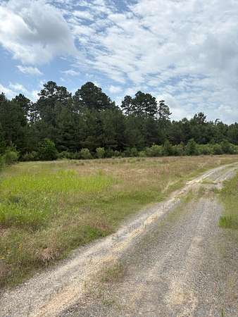 32.3 Acres of Recreational & Residential Land for Sale in Tenaha, Texas