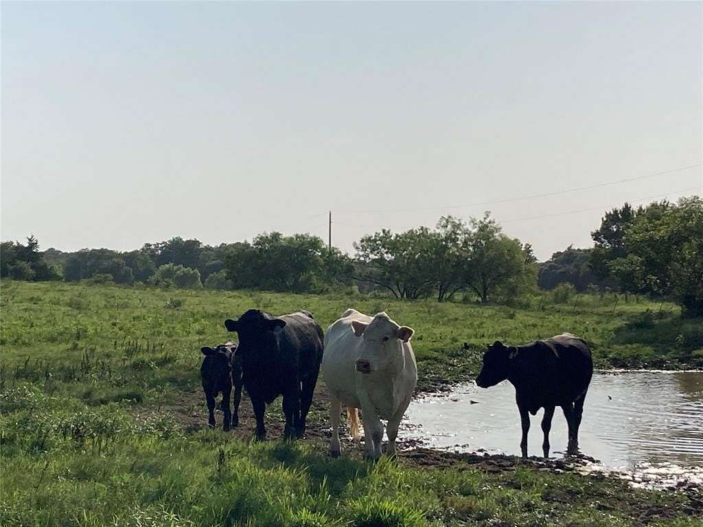 10 Acres of Land for Sale in Covington, Texas