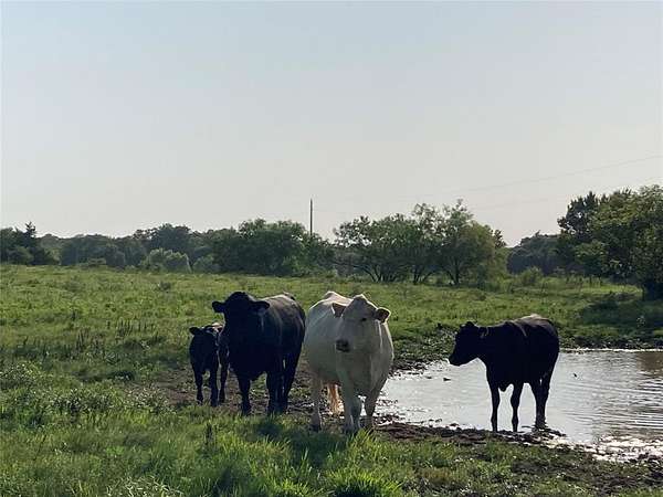 10 Acres of Land for Sale in Covington, Texas