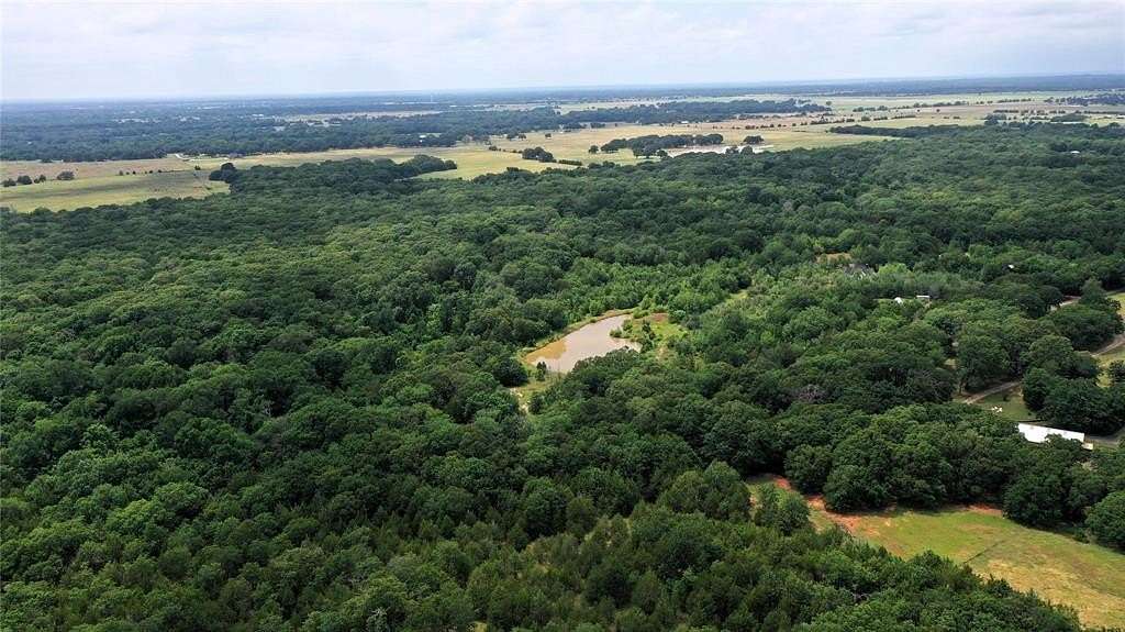 77.2 Acres of Recreational Land & Farm for Sale in Ivanhoe, Texas