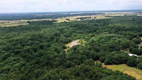 77.2 Acres of Recreational Land & Farm for Sale in Ivanhoe, Texas