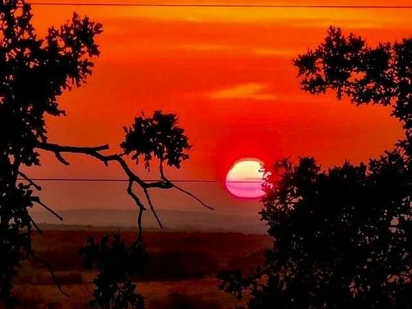 29.5 Acres of Land for Sale in Bowie, Texas