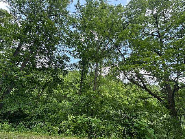 22 Acres of Recreational Land for Sale in Sandy Hook, Kentucky