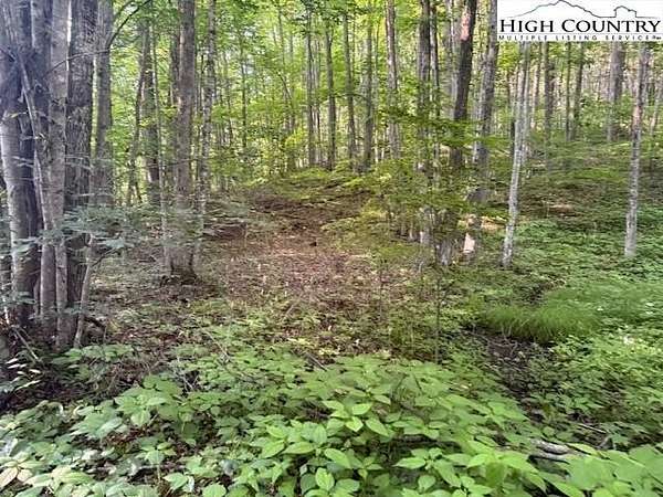 0.11 Acres of Residential Land for Sale in Creston, North Carolina
