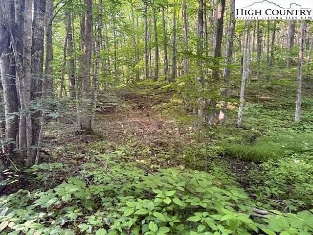 0.22 Acres of Residential Land for Sale in Creston, North Carolina