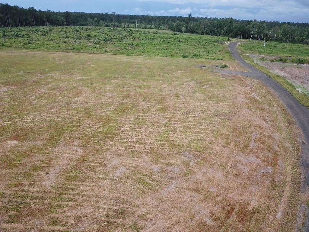 10 Acres of Residential Land for Sale in Kirbyville, Texas