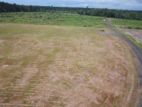 10 Acres of Residential Land for Sale in Kirbyville, Texas