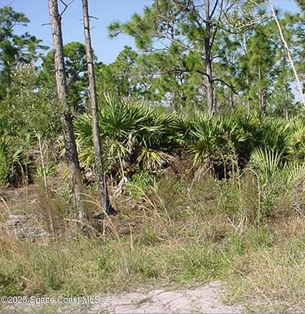 1.36 Acres of Residential Land for Sale in Malabar, Florida