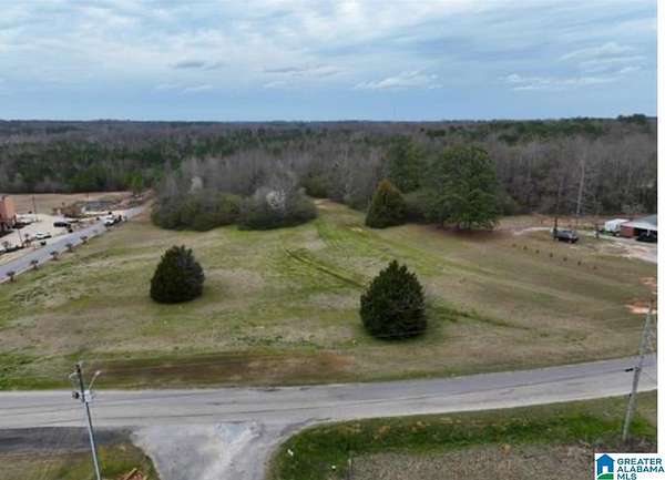 25 Acres of Commercial Land for Sale in Clanton, Alabama