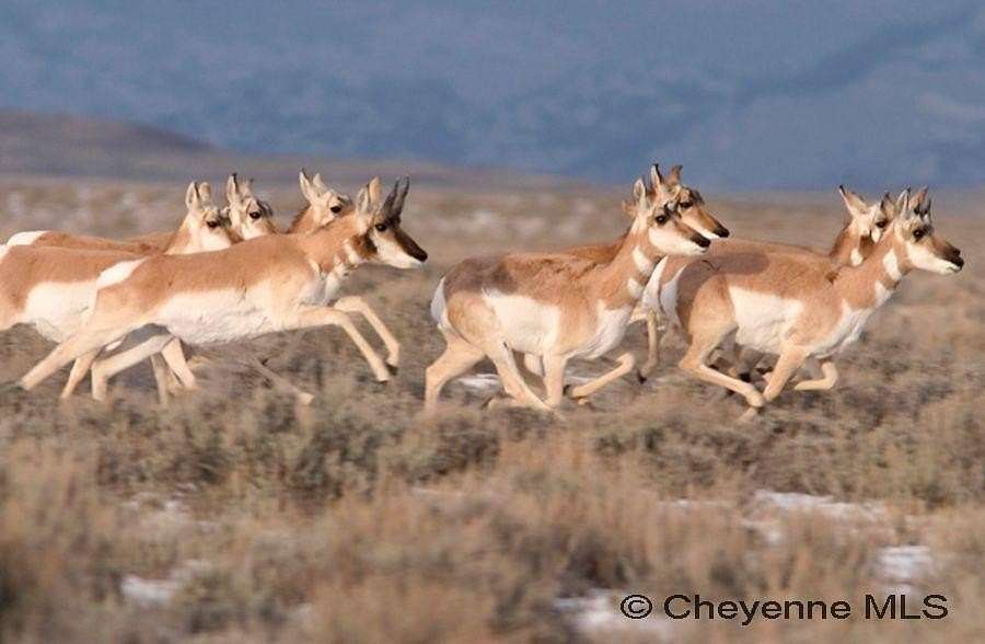 105 Acres of Recreational Land for Sale in Medicine Bow, Wyoming