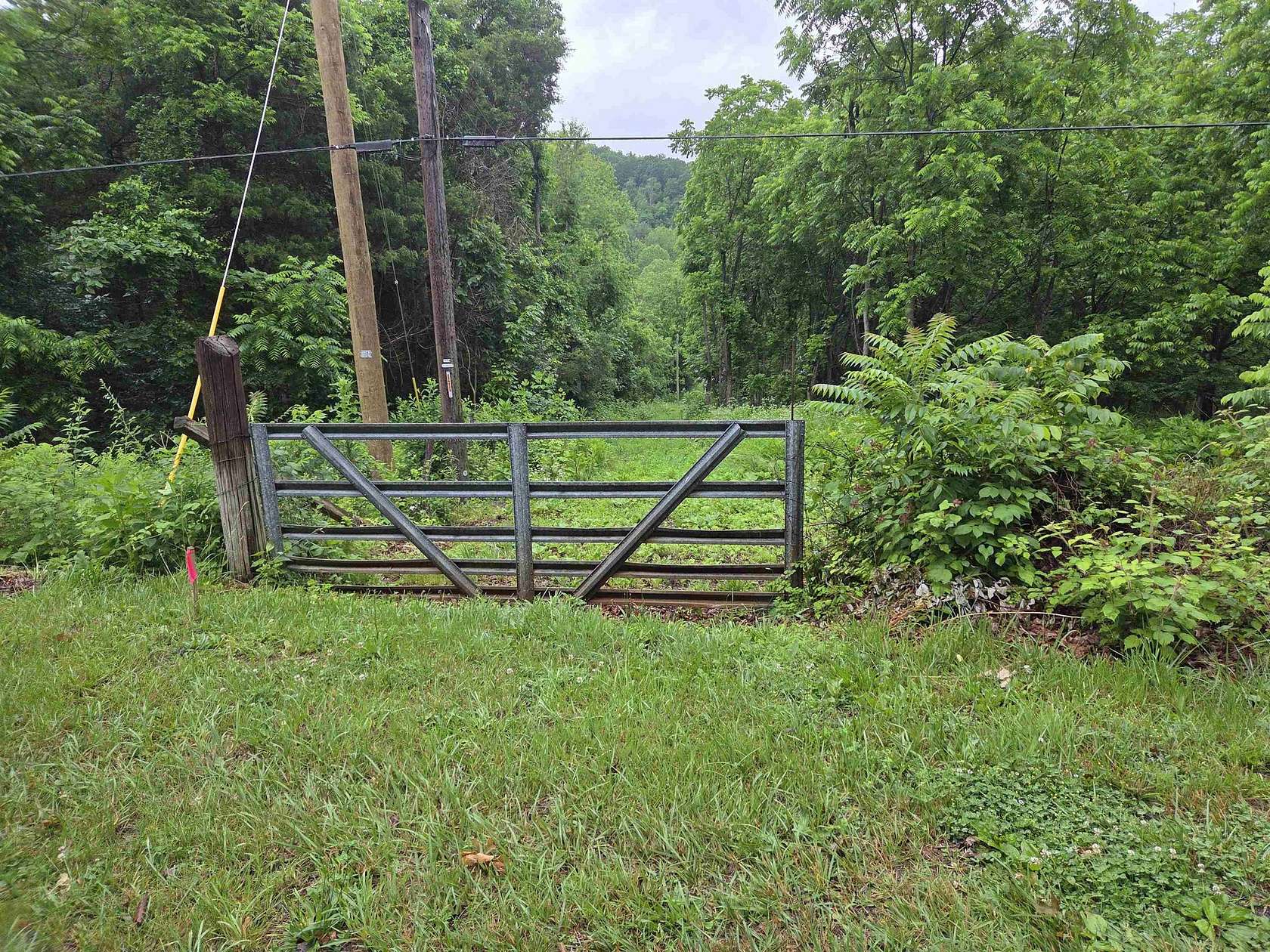 2 Acres of Residential Land for Sale in Elkton, Virginia