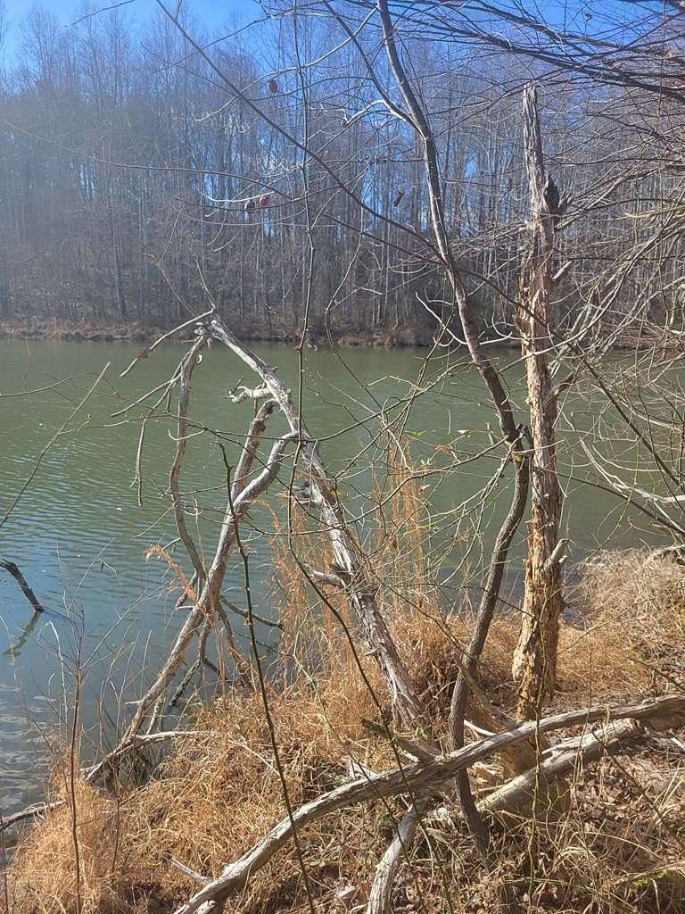 6.29 Acres of Land for Sale in Riceville, Virginia