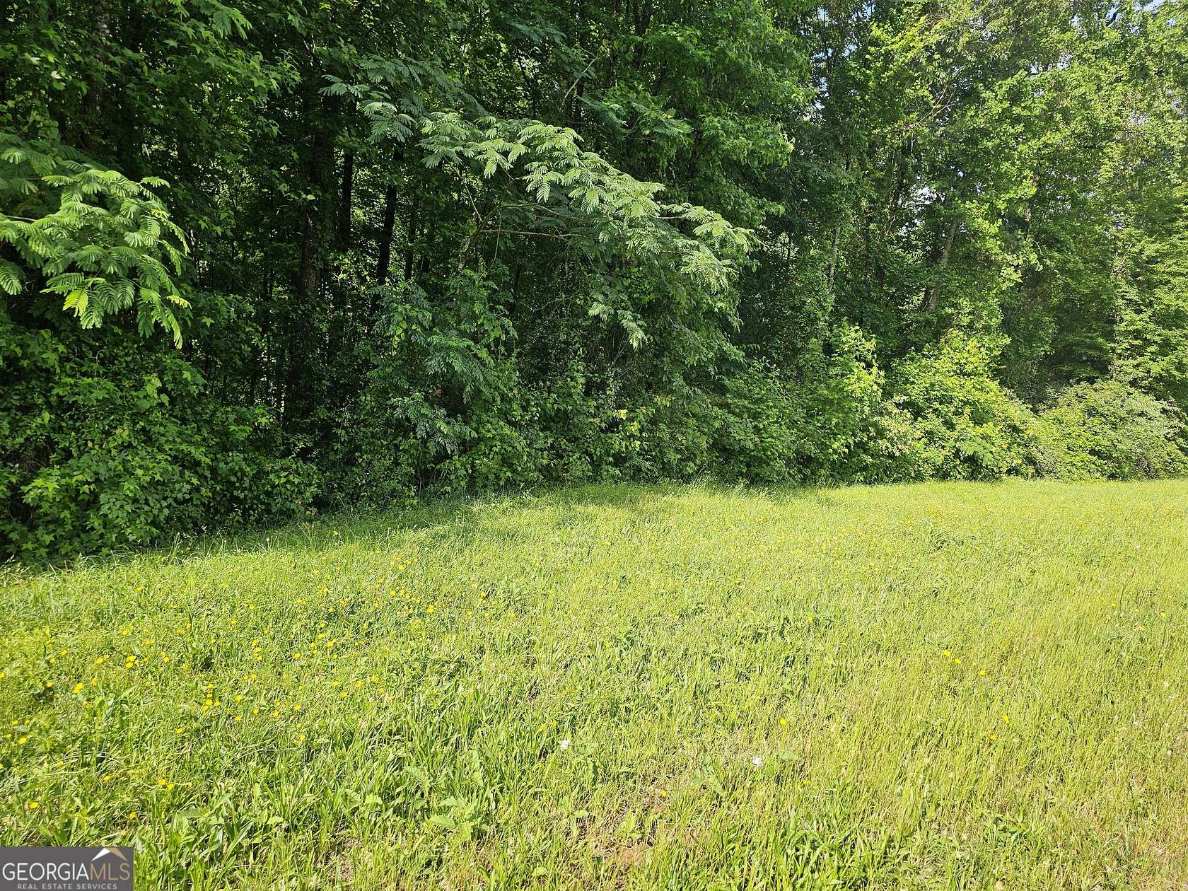 0.76 Acres of Residential Land for Sale in Covington, Georgia