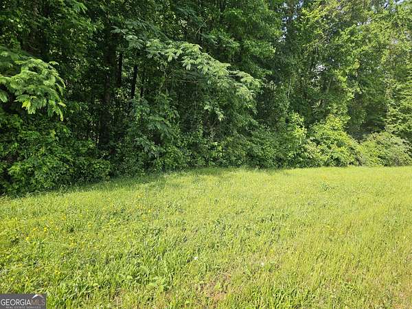 0.76 Acres of Residential Land for Sale in Covington, Georgia