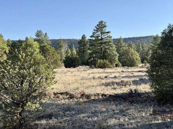 6.46 Acres of Recreational Land for Sale in Ramah, New Mexico