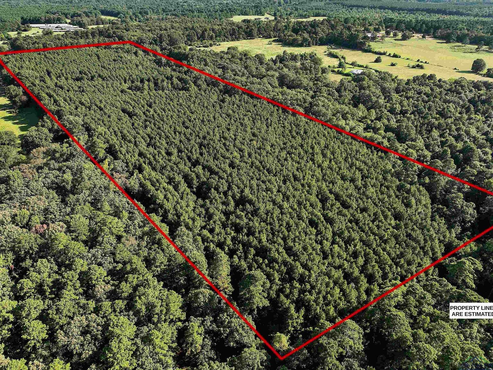 31.5 Acres of Recreational Land for Sale in Gary, Texas