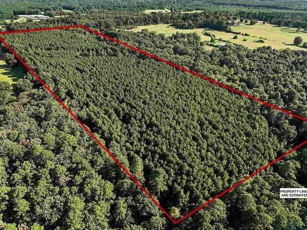 31.5 Acres of Recreational Land for Sale in Gary, Texas