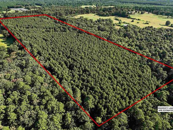 31.5 Acres of Recreational Land for Sale in Gary, Texas