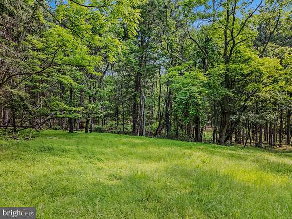 61.8 Acres of Recreational Land for Sale in Hedgesville, West Virginia