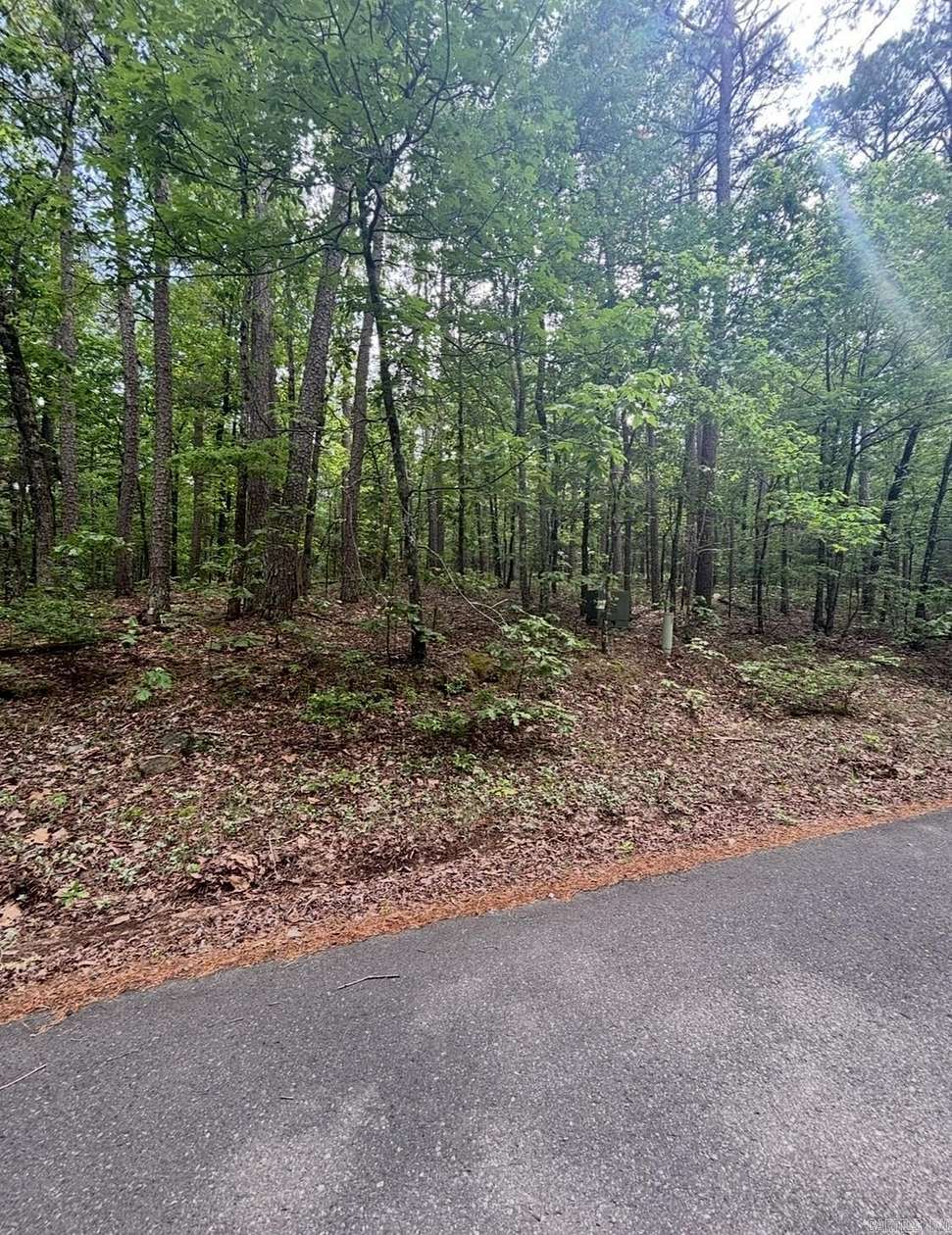 0.27 Acres of Residential Land for Sale in Hot Springs Village, Arkansas