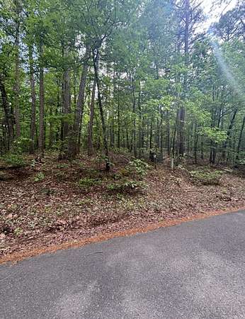 0.27 Acres of Residential Land for Sale in Hot Springs Village, Arkansas