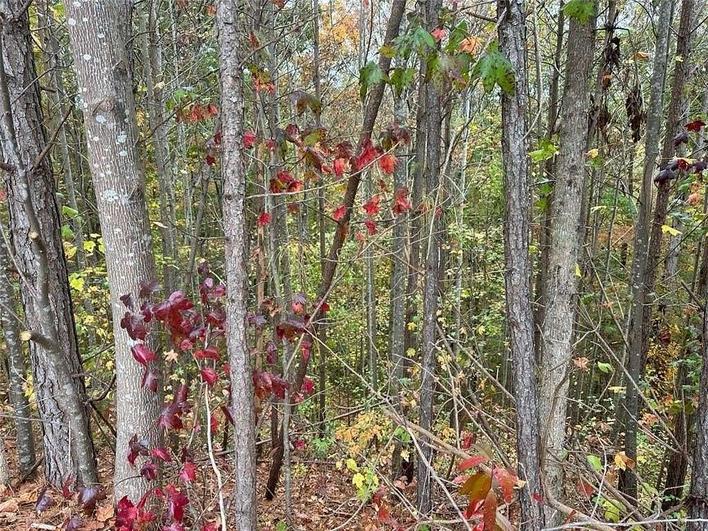 3.38 Acres of Residential Land for Sale in White City, Georgia