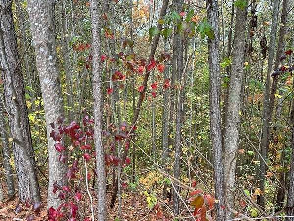 3.38 Acres of Residential Land for Sale in White City, Georgia