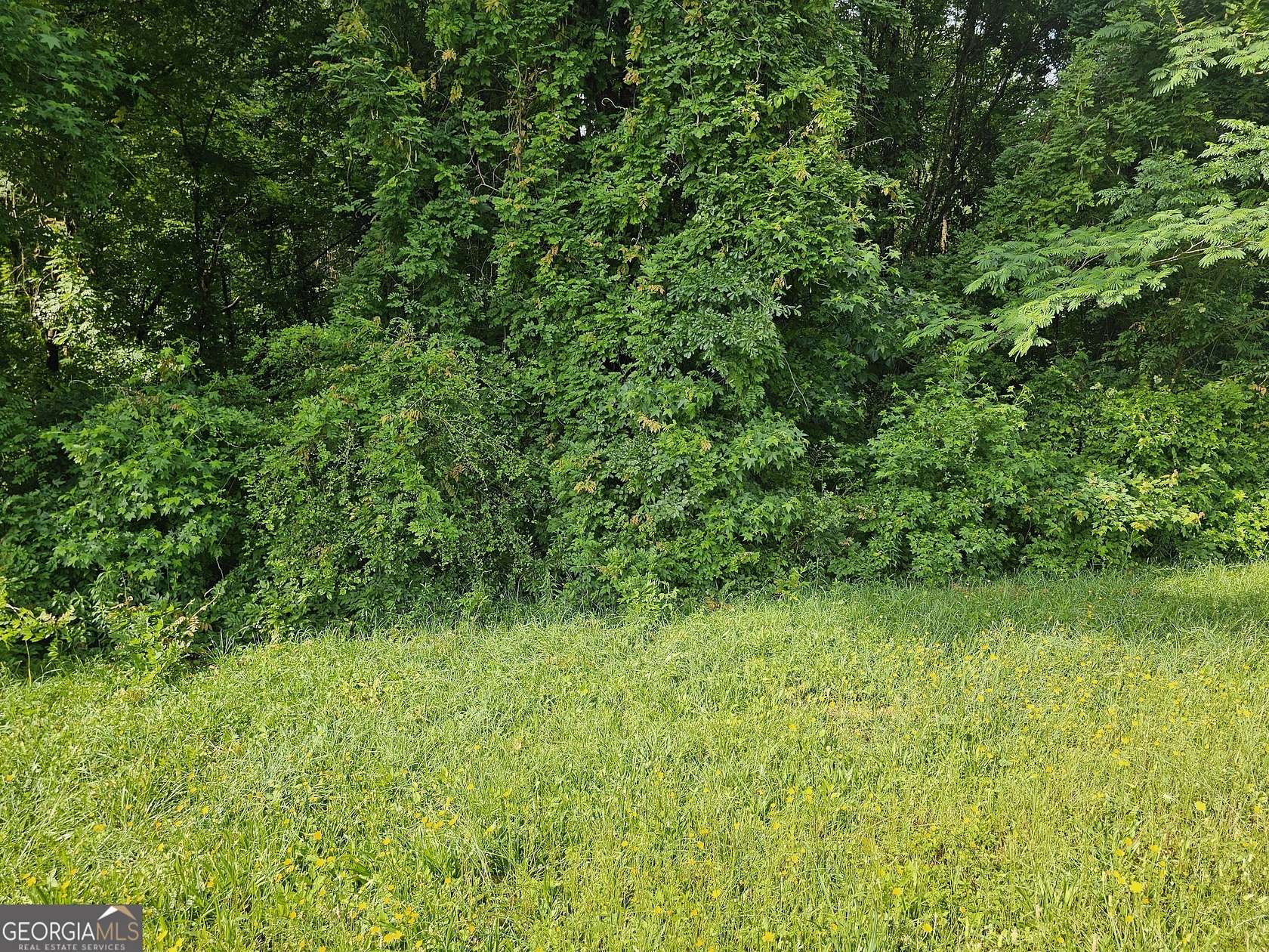 1 Acre of Residential Land for Sale in Covington, Georgia