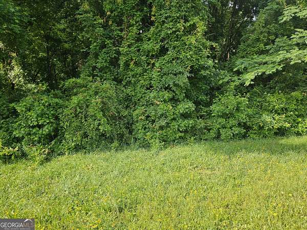 1 Acre of Residential Land for Sale in Covington, Georgia