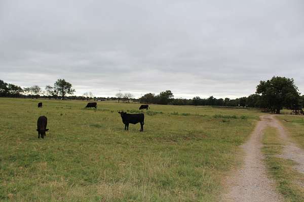 50 Acres of Land for Sale in Elmore City, Oklahoma