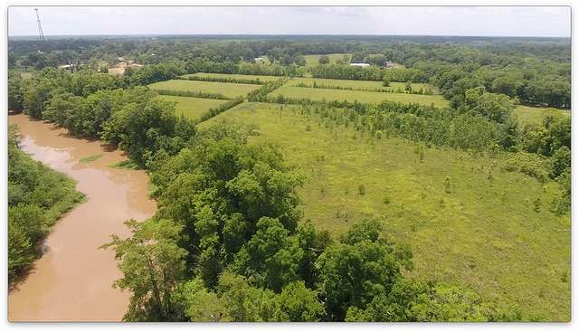30 Acres of Land for Sale in Woodworth, Louisiana