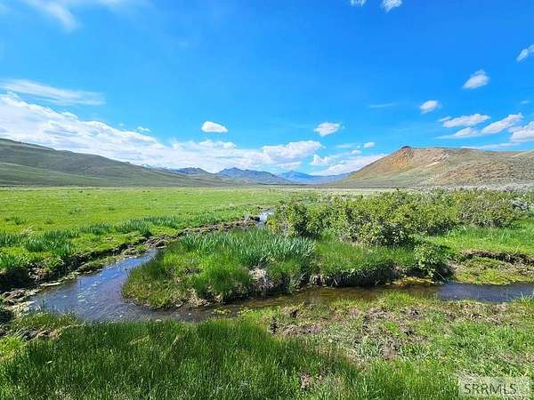40 Acres of Recreational Land & Farm for Sale in Moore, Idaho