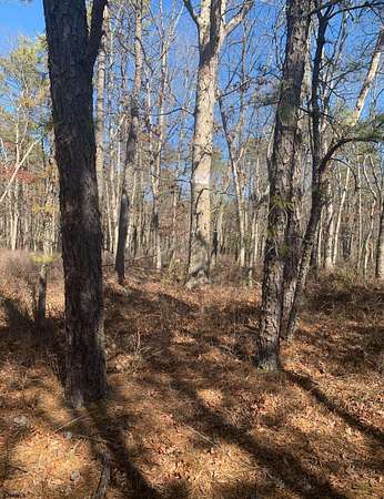 11 Acres of Recreational Land for Sale in Mays Landing, New Jersey