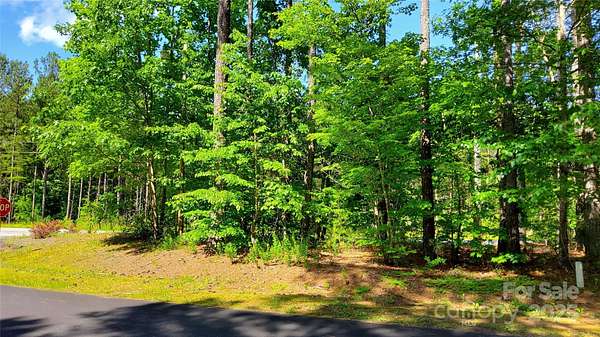 6 Acres of Land for Sale in Mill Spring, North Carolina