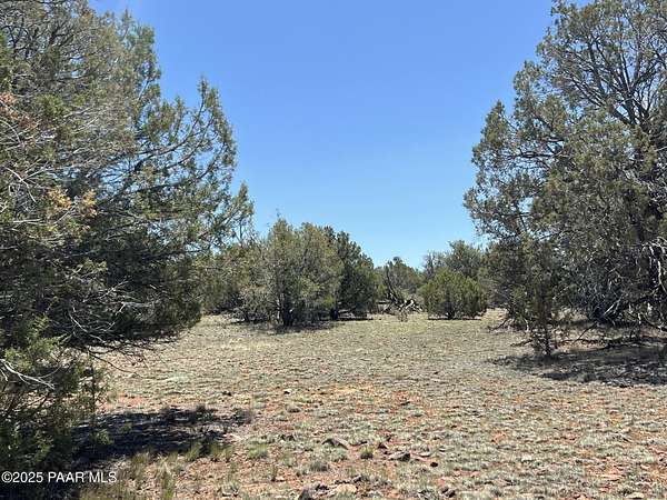 10 Acres of Land for Sale in Ash Fork, Arizona