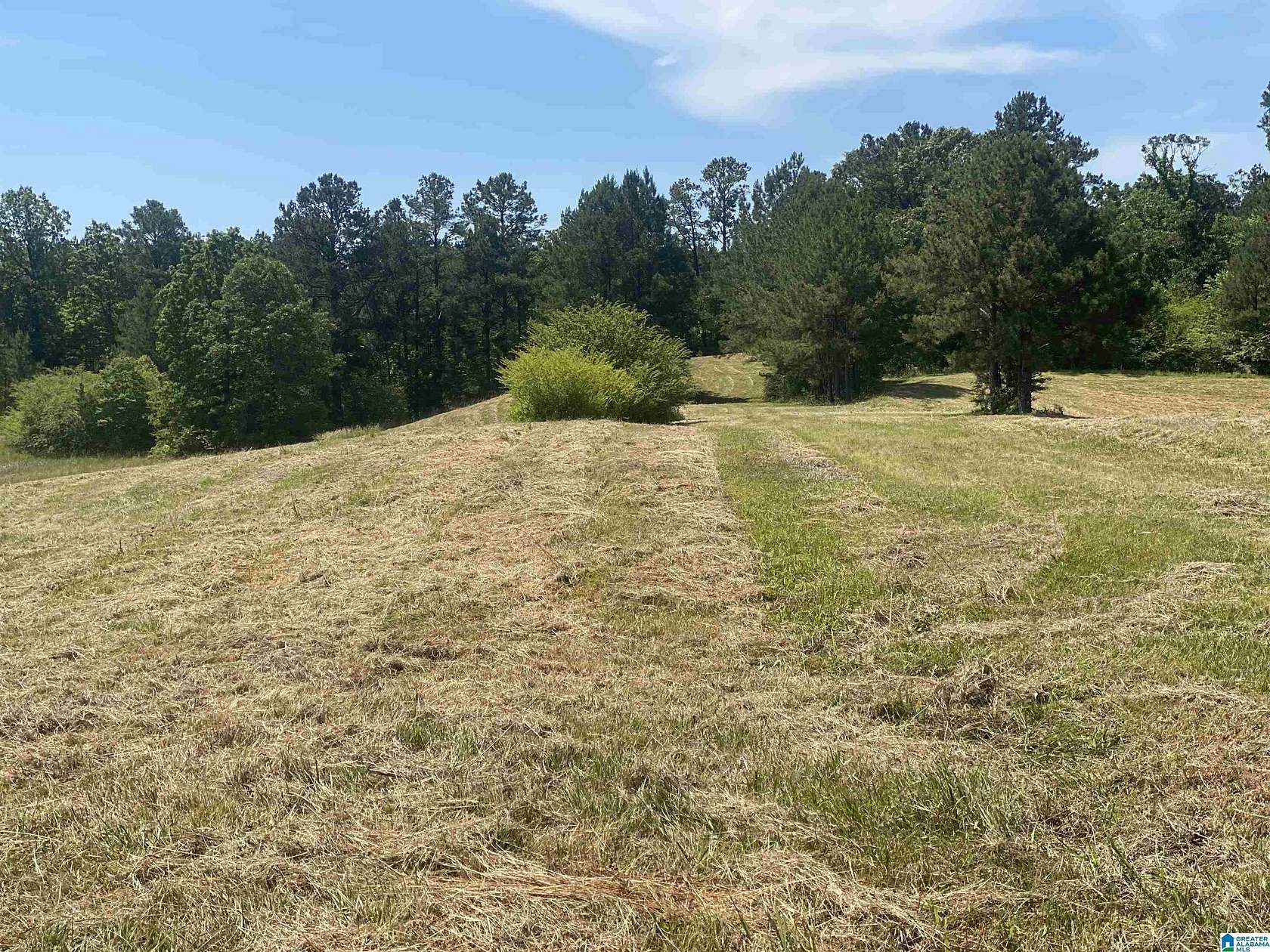 10.2 Acres of Land for Sale in Helena, Alabama