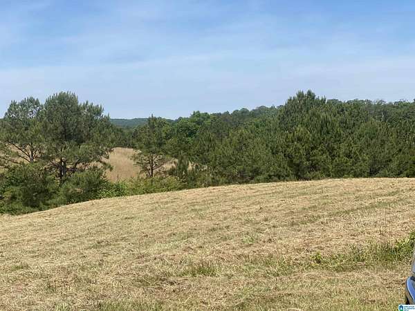 10.2 Acres of Land for Sale in Helena, Alabama
