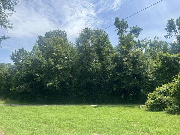 20 Acres of Recreational Land for Sale in Lumberton, Mississippi