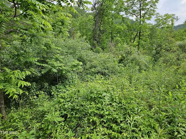 2.73 Acres of Residential Land for Sale in Keokee, Virginia